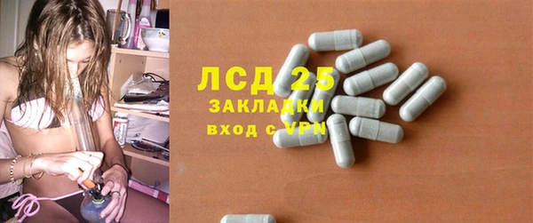 PSILOCYBIN Куйбышев