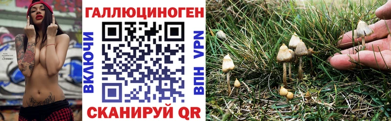 магазин  наркотиков  Фурманов  мориарти формула  Псилоцибиновые грибы мицелий 