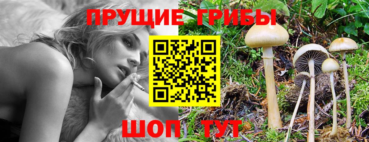 Псилоцибиновые грибы GOLDEN TEACHER  Вход с VPN  Фурманов 