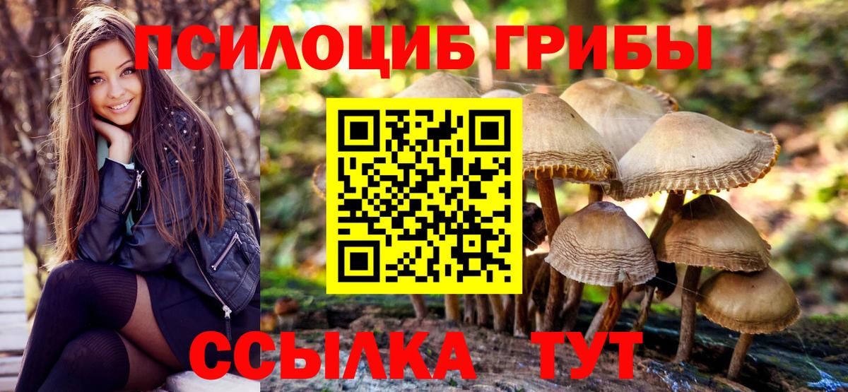 Псилоцибиновые грибы мицелий Фурманов